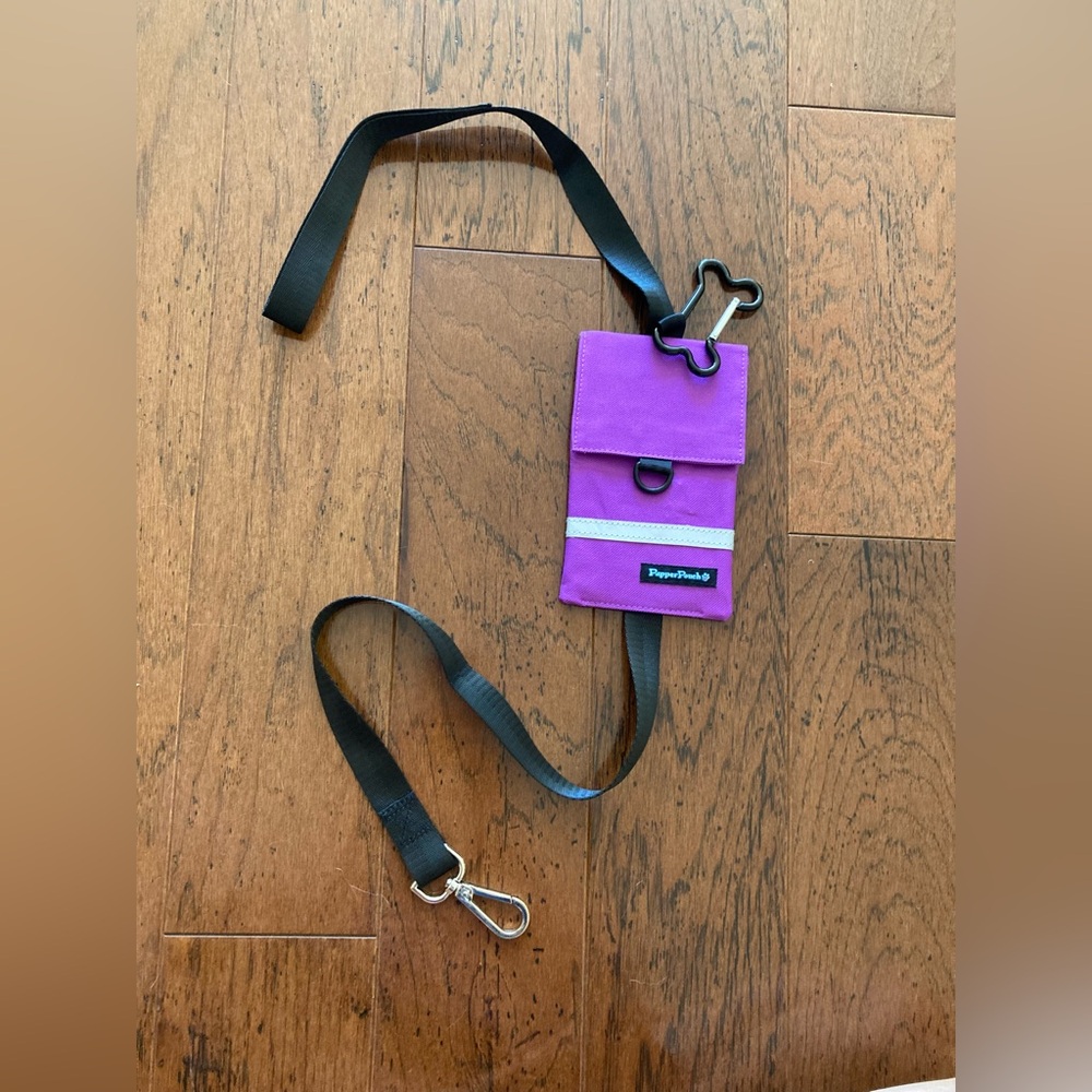 Dog leash with pouch